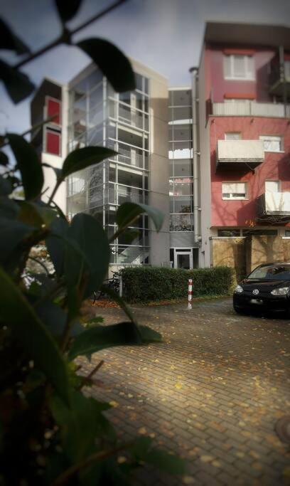 Schoenes Apt In Zentraler Lage Freiburg im Breisgau Eksteriør billede